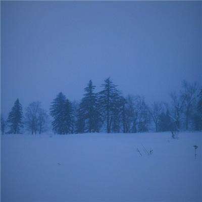 万博体育最新下载链接