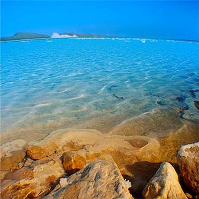 亚虎娱乐手机app下载