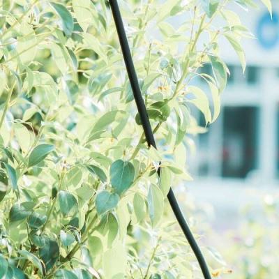 赛博体育app下载