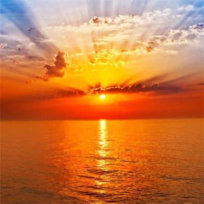 买球的app排行榜前十名推荐下载手机版