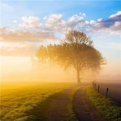 万博体育最新下载链接